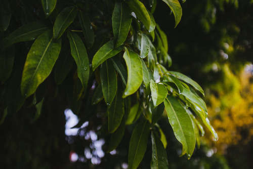 larutadelaluz:Llegó el Otoño y su paleta de colores. 