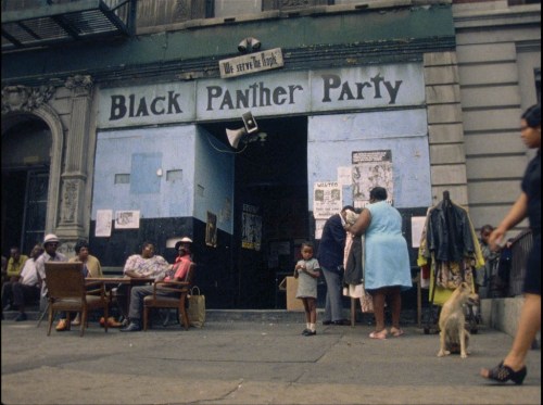 mischief-and-monsters-rule-here:harlemcollective:60 Years...