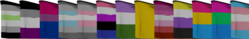 left to right, the flags are: agender, asexual, bisexual, demiboy, demigirl, genderfluid, genderqueer, intersex, lesbian, nonbinary, pansexual, polysexual, and transgender