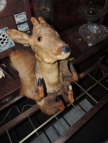 Mátame, camión! (El Tópic de la Taxidermia Chunga) - Página 8 Tumblr_pd3ha7Lmeo1vwkx1bo1_400