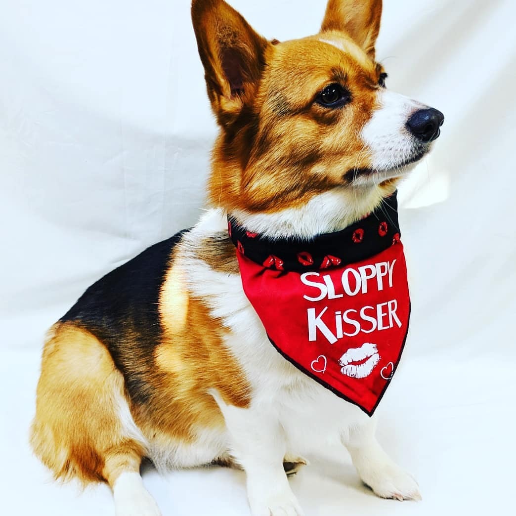 valentines dog bandana