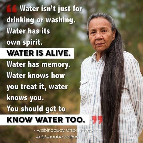 justbeingnamaste:“Water is alive. Water has memory. Water...