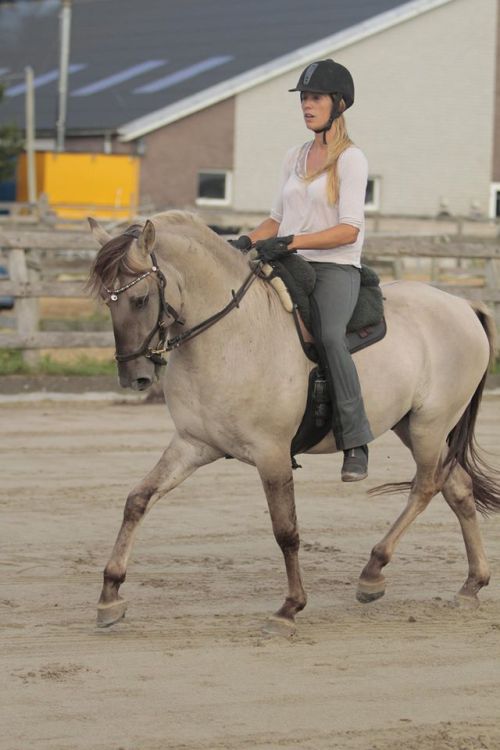 mustang horse art | Tumblr