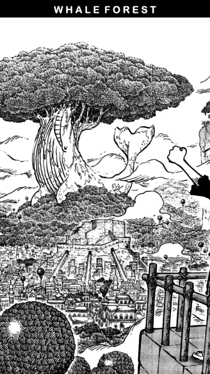 boysanimeclub:One Piece|| New World + Manga Sceneries