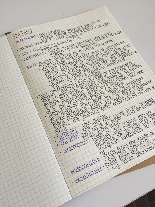 themotivatedstudent:6/04/15: Kinda proud of my biology notes....