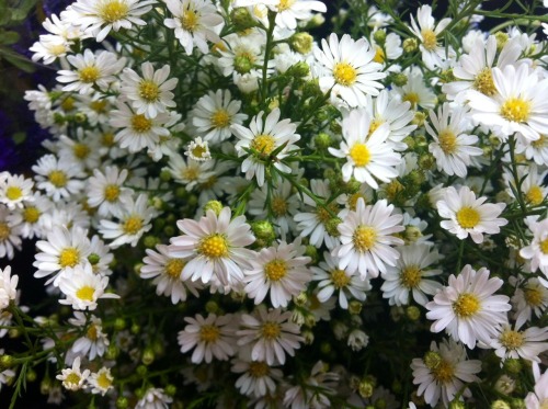 heavenly-bad-blog