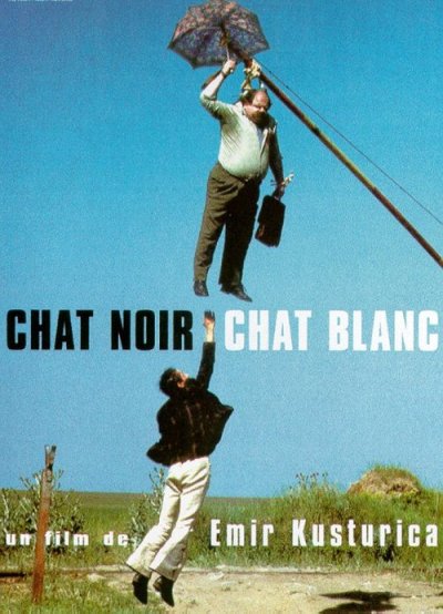 Chat Noir Chat Blanc Tumblr