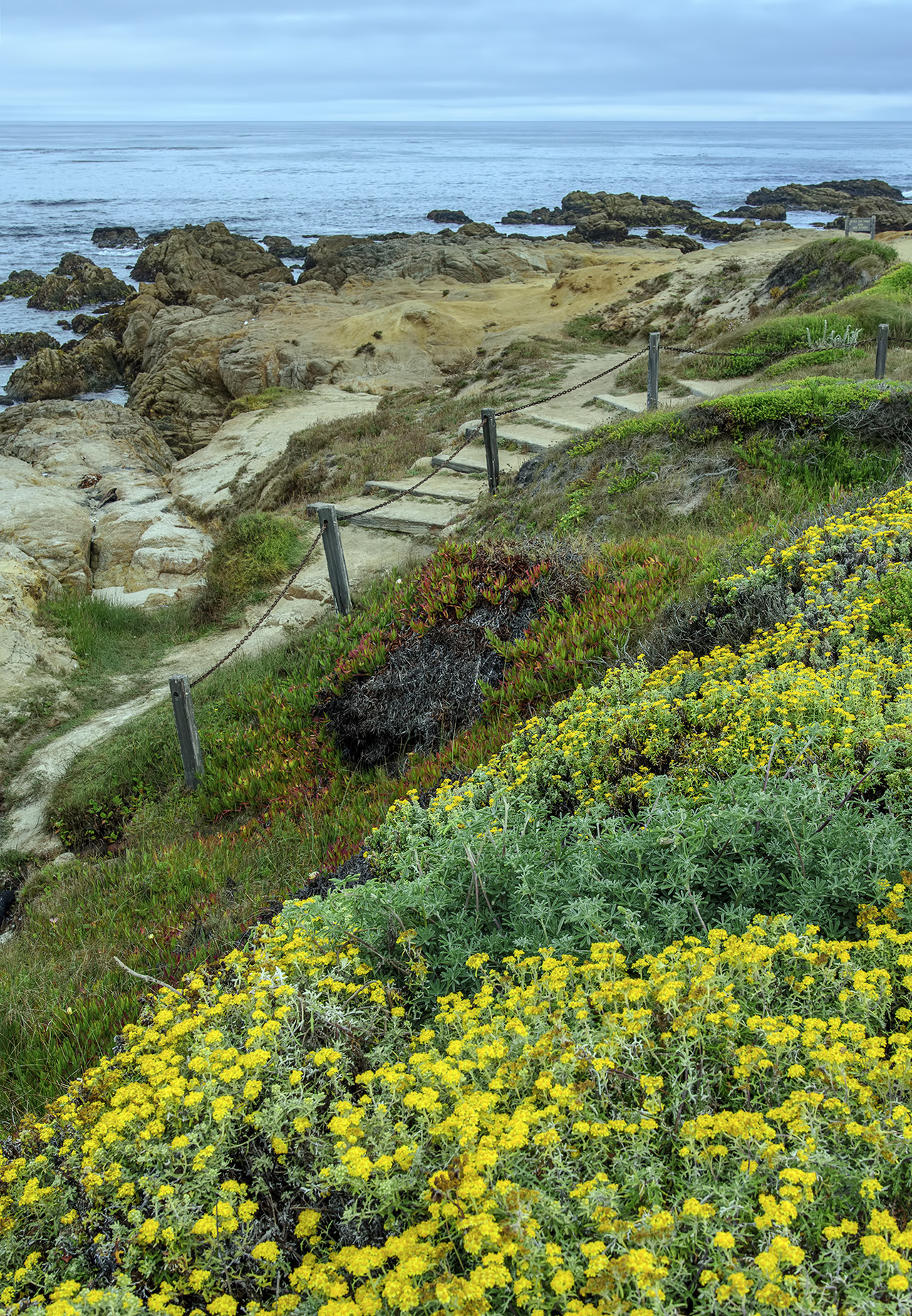 about-usa-pacific-grove-california-usa-by