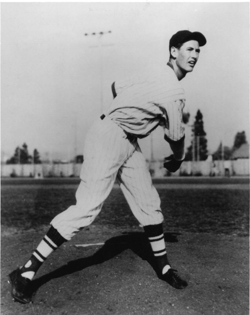 the kid the immortal life of ted williams