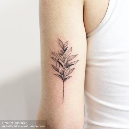 By Mariloillustration, done in Girona. http://ttoo.co/p/32140 branch;fine line;line art;tricep;facebook;nature;twitter;mariloalonso;medium size;olive branch;illustrative