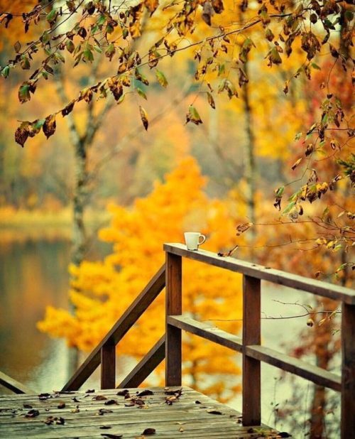 La magia del otoño - Página 6 Tumblr_pzmj15wyLt1vk2t1qo1_500