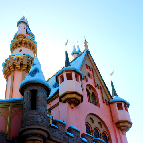 disneyland photography on Tumblr