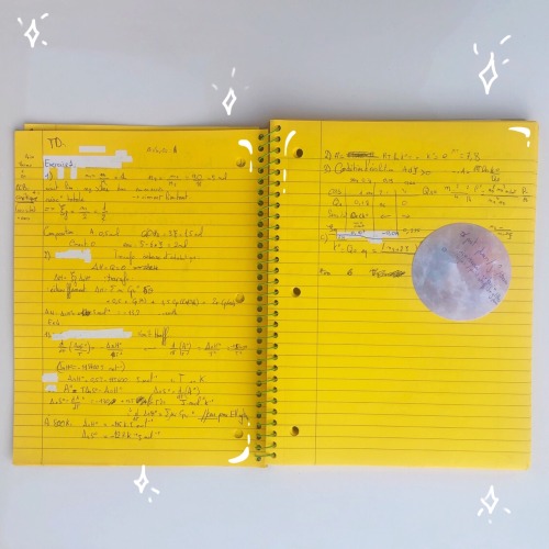 studywithava