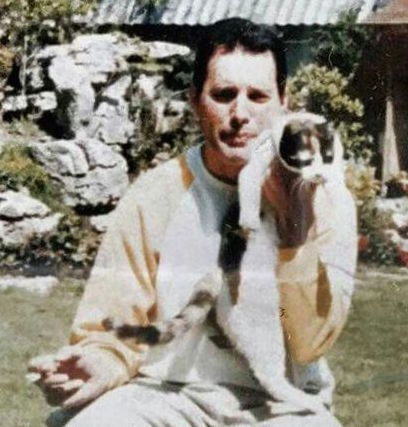 foxy-mulder:Freddie Mercury (Farrokh Bulsara) + cats...