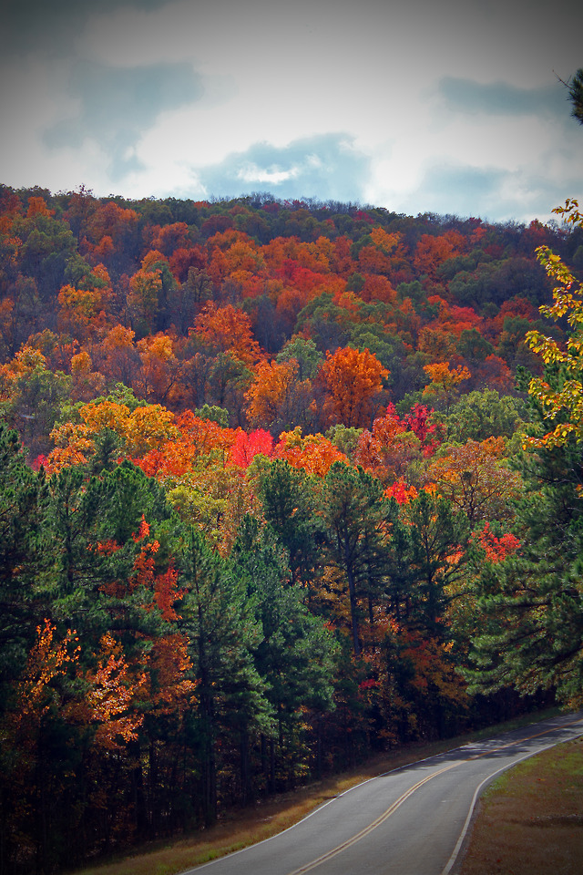 Gorgeous Fall Colors along the Talimena Scenic... - Off the Beaten Path