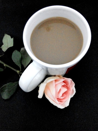 Gambar Bunga Mawar Layu Tumblr