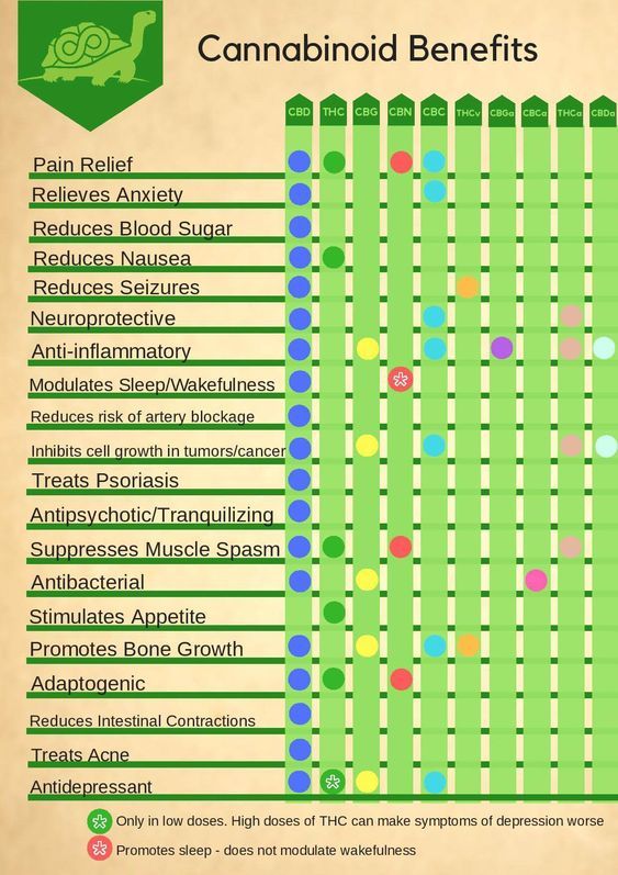 mybluntart-cannabinoids-benefits