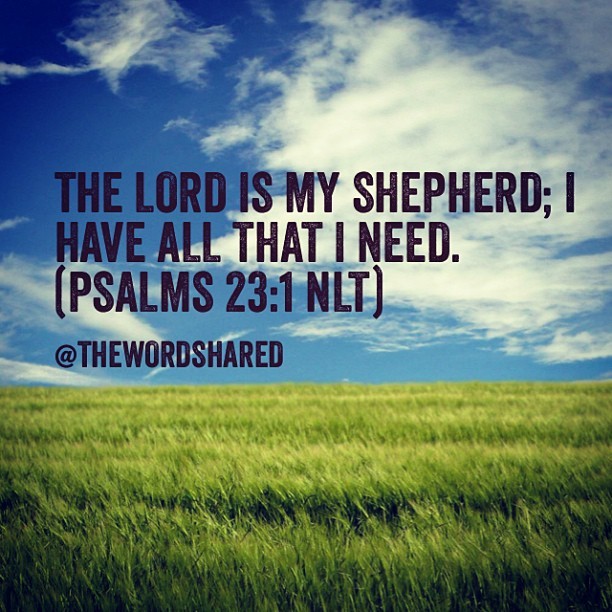 The WORD Shared — The Lord is my shepherd; I have all that I need....