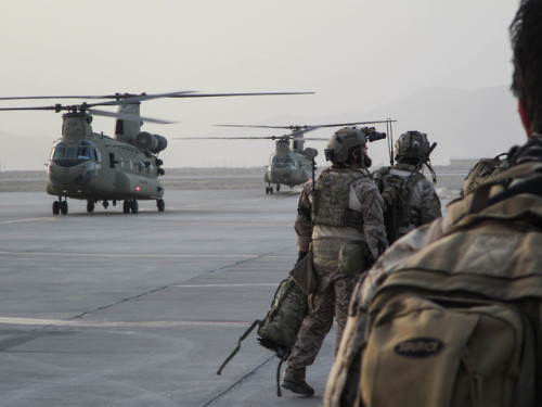 Members with the 10th Special Forces Group (Airborne), alongside...