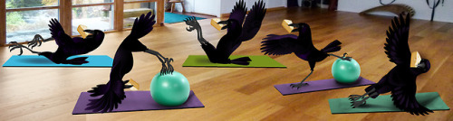 Crows with Cheese Mat Class