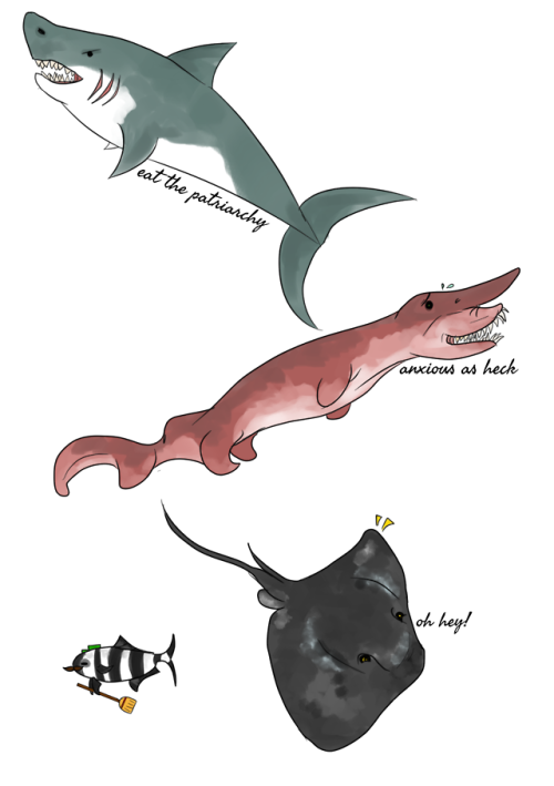 thefingerfuckingfemalefury:amorrighan:some lil shark buds!...