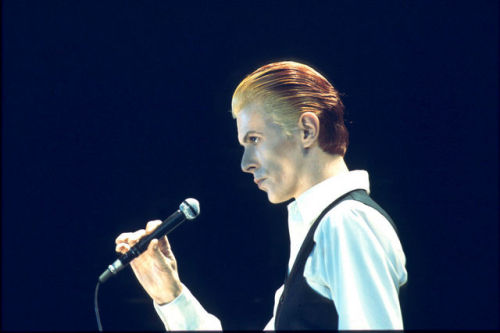 whambam-bowiesglam:The Thin White Duke