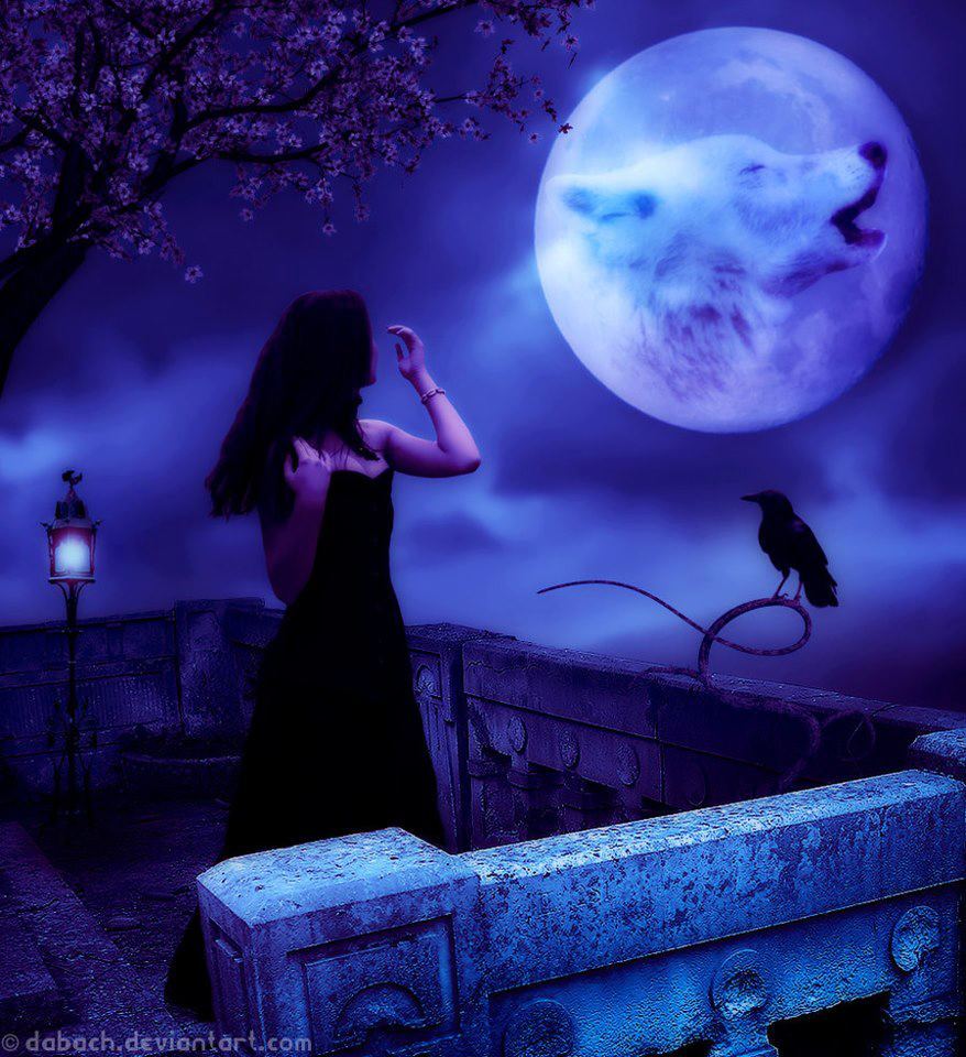 Gypsy Moon's Enchanted Chronicles: Photo