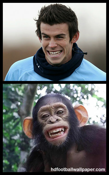 Monkeys that look like Gareth Bale