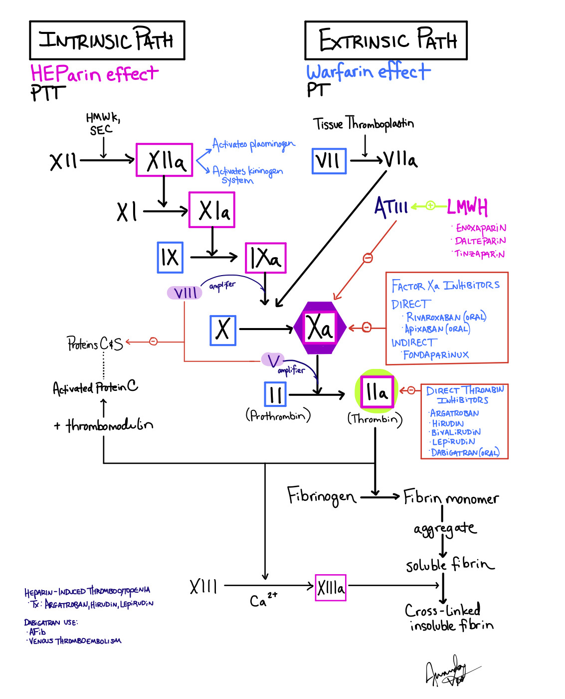 USMLE #wizard - Coagulation Cascade Drugs