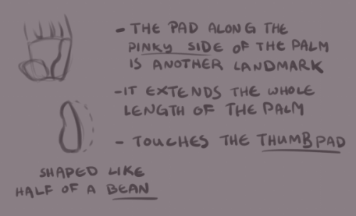 myshrinkingviolet:Someone requested a hand tutorial, so I...