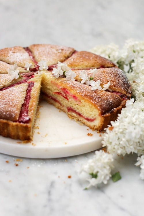 sweetoothgirl:Rhubarb Bakewell Tart