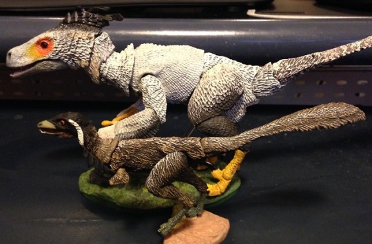 Beasts of the Mesozoic Saurornitholestes sullivani