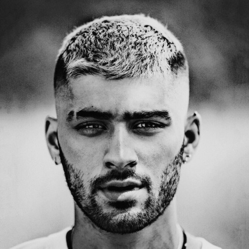 zayn black and white on Tumblr