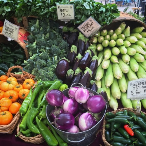 farmer-v:Hot damn, it’s pepper season