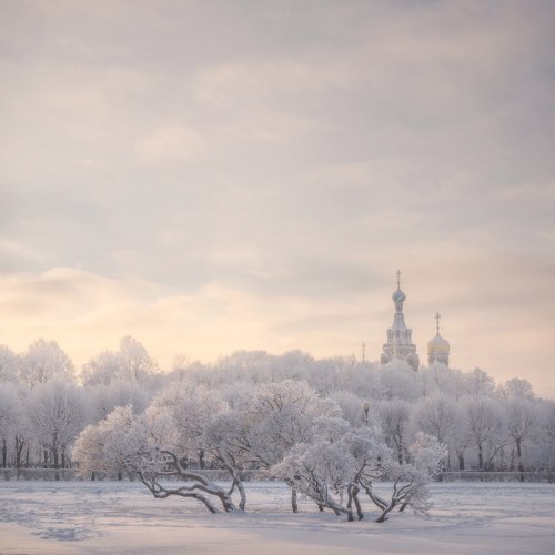 northwindnovoross:St. Petersburg: Champ de Mars, the Savior on...