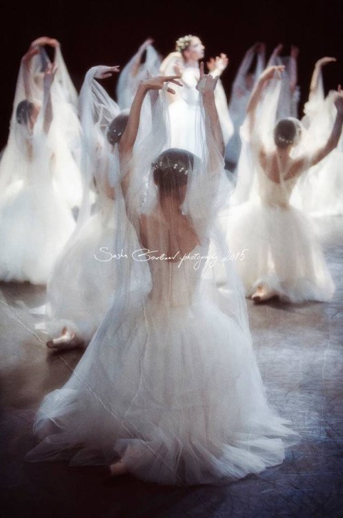 lasylphidedubolchoi:GisellePhotos by Sasha Gouliaev