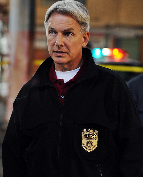 Mark Harmon Paradise