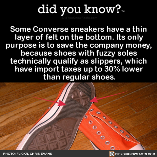 converse sneaker felt
