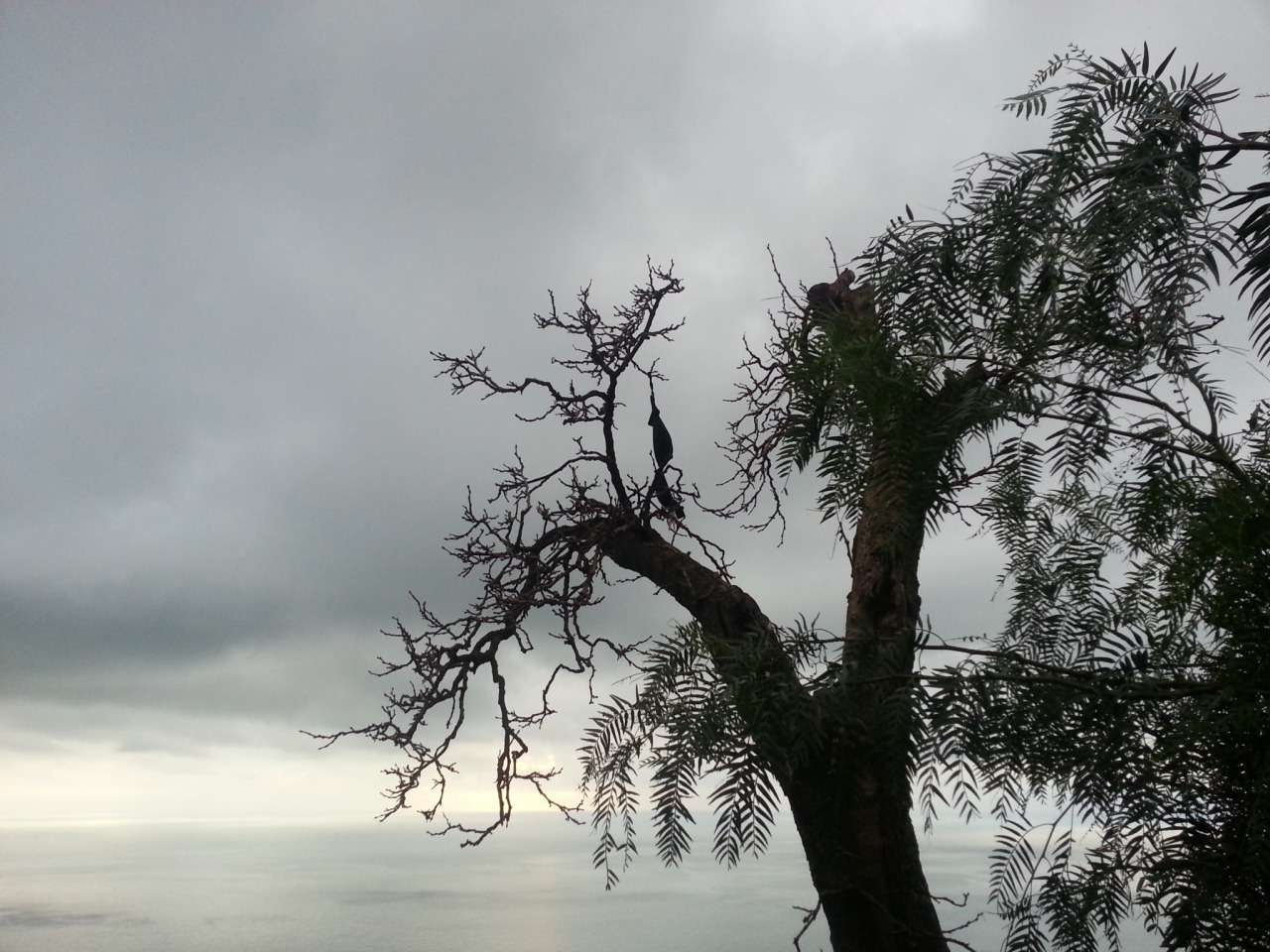 tumblr photo