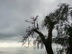 tumblr photo
