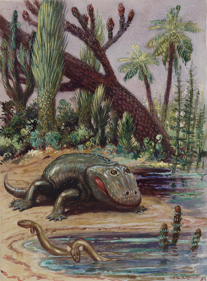 rhamphotheca:
“dryptosaurus: Eryops by Charles R. Knight
”
Drawn when he was 8.