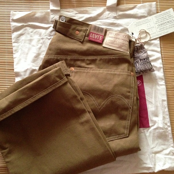 levi's duck canvas pants