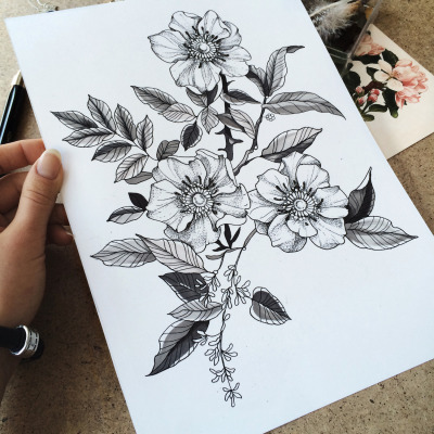 Rosedrawing Tumblr