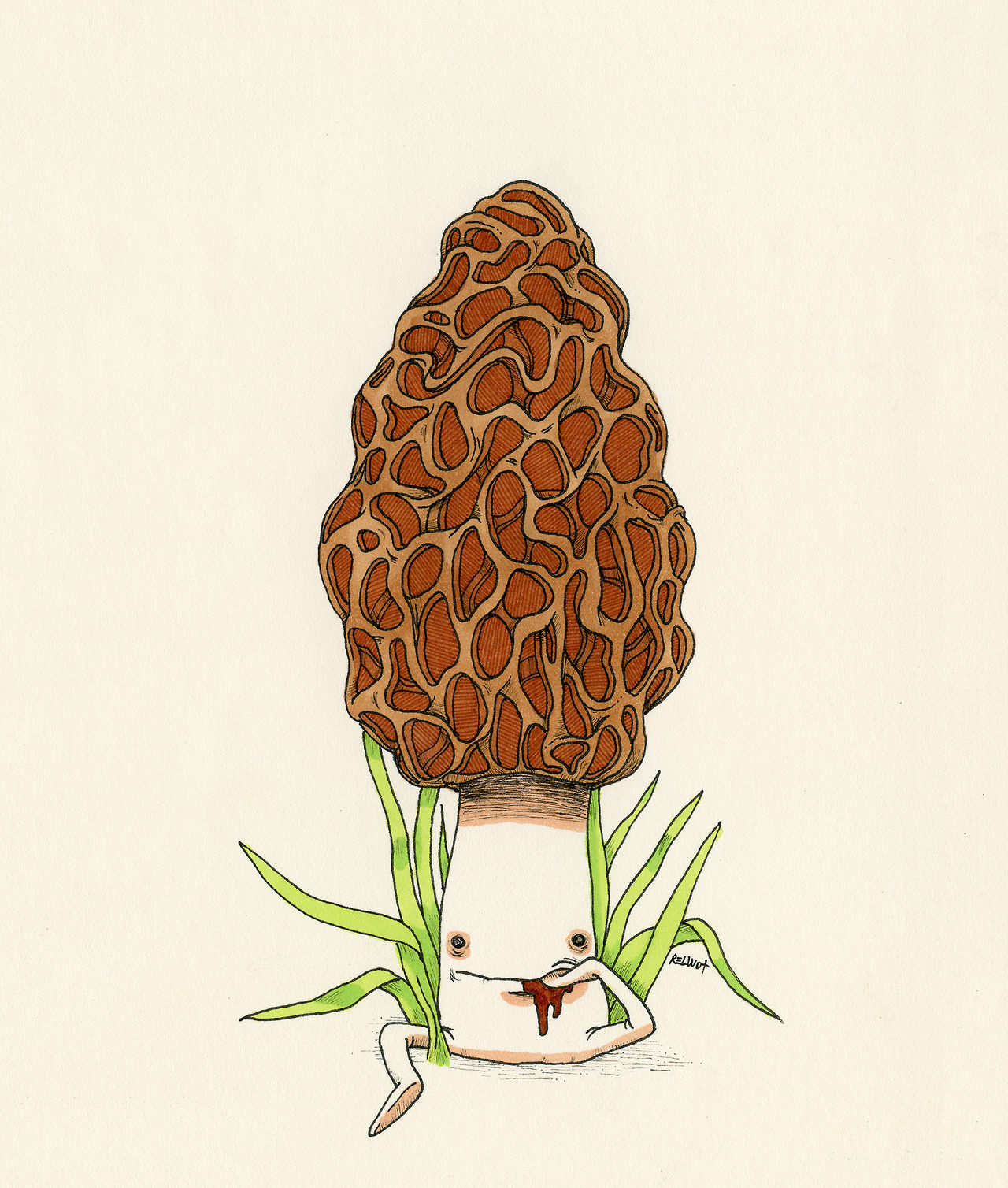 Common Morel Morchella esculenta by Andy Towler (tumblr) (etsy) — Immediately post your art to a topic and get feedback. Join our new community, EatSleepDraw Studio, today!