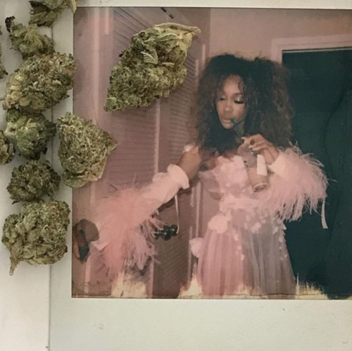 palmvaults:SZA