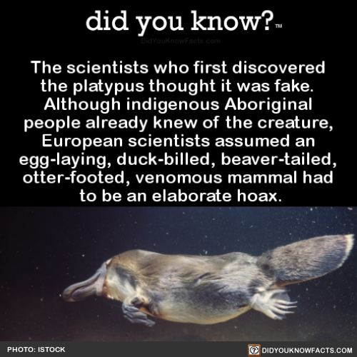 the-scientists-who-first-discovered-the-platypus