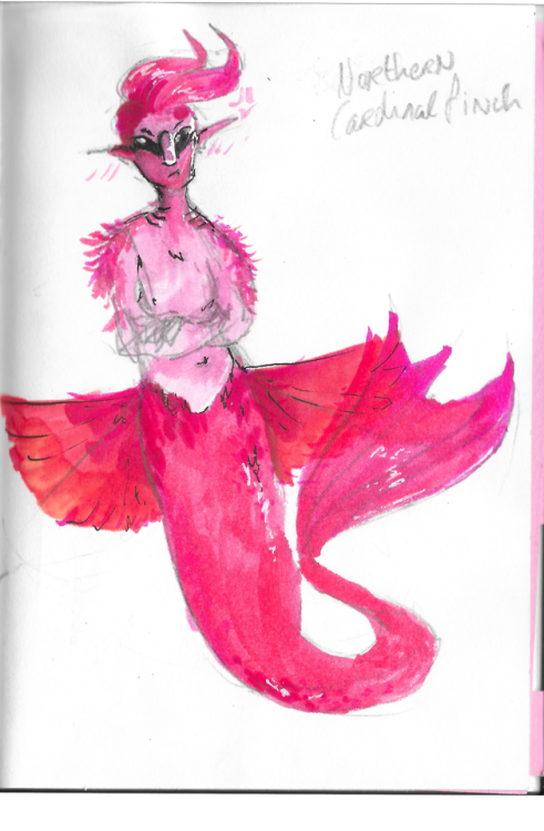 mermay bulkpost!ive been doing mermay as mostly a design...