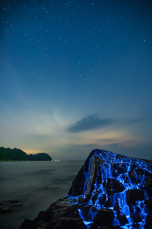 archatlas:The Weeping StonesPhotographed off the coast of...