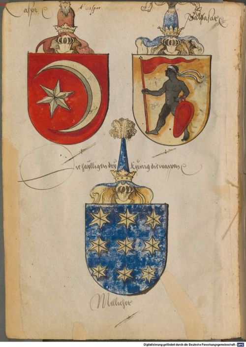 handsometruth:OLD European Coat of Arms