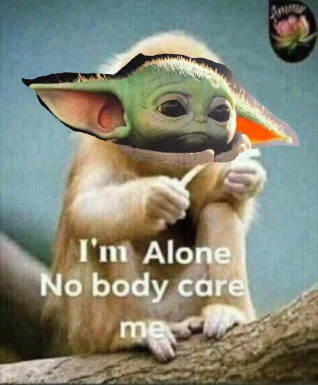 baby yoda middle finger meme